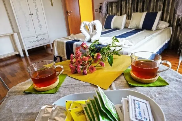 Tek Büyük veya İki Ayrı Yataklı Oda, Jakuzi, Bahçeli