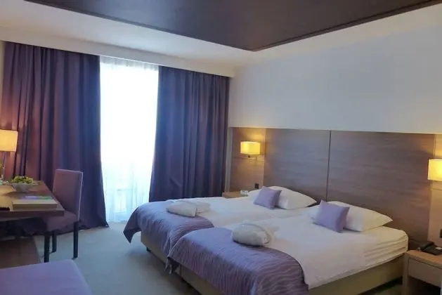 İki Ayrı Yataklı Oda, Balkon, Park Manzaralı