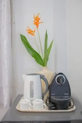 Deluxe Tek Büyük Yataklı Oda (Airconditioned)