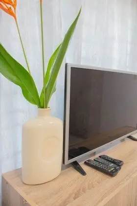Deluxe Tek Büyük Yataklı Oda (Airconditioned)