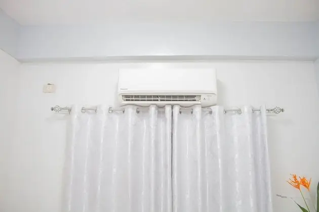 Deluxe Tek Büyük Yataklı Oda (Airconditioned)