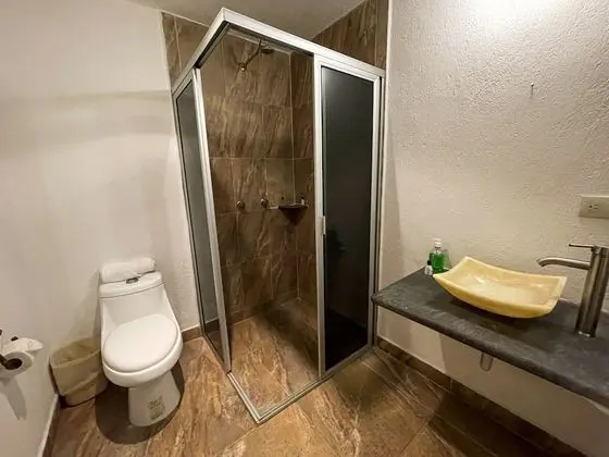 Standard Oda