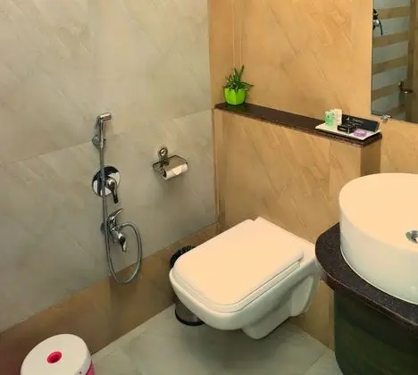 Deluxe Tek Büyük veya İki Ayrı Yataklı Oda, 1 Yatak Odası, Şehir Manzaralı