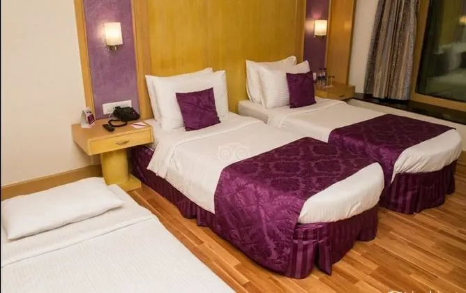 Deluxe Tek Büyük veya İki Ayrı Yataklı Oda, Sigara İçilmez