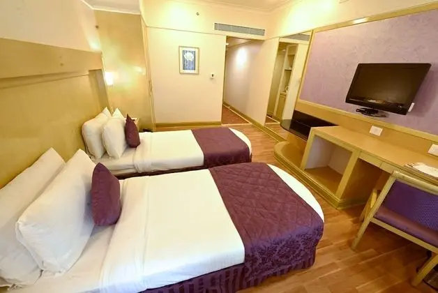 Deluxe Tek Büyük veya İki Ayrı Yataklı Oda, Sigara İçilmez