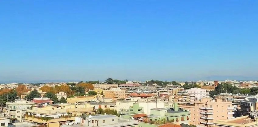 Deluxe Tek Büyük Yataklı Oda, Özel Banyo, Şehir Manzaralı