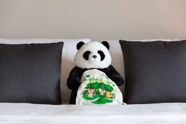 Superior Tek Büyük Yataklı Oda