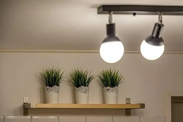 Oda (Love (Private))