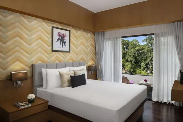 Premium Oda, 1 En Büyük (King) Boy Yatak, Balkon, Havuz Manzaralı