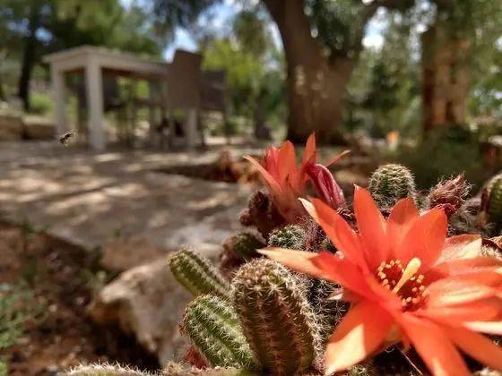 Comfort Ev, 1 Yatak Odası, Mutfak