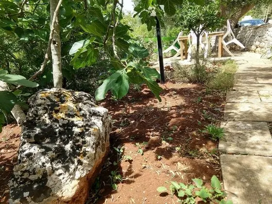 Family Ev, 2 Yatak Odası, Park Manzaralı, Bahçeli