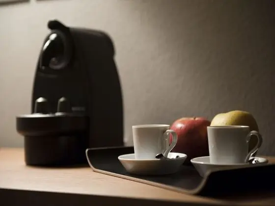 Junior Süit, Üzüm Asması Manzaralı, Bahçeli (2)