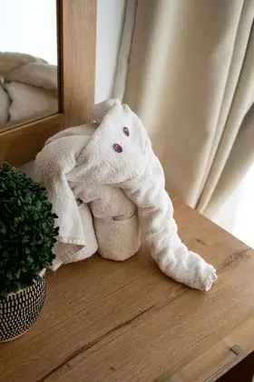 Comfort Apart Daire, 4 Yatak Odası, Kişiye Özel Havuzlu