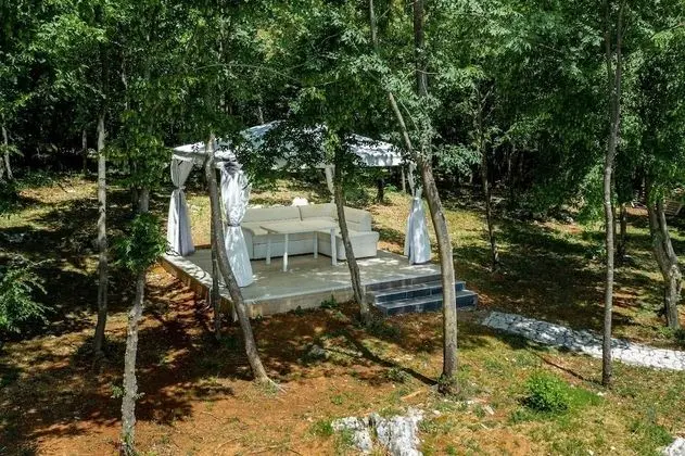 Ev (VladimirG - surrounded by nature - H()