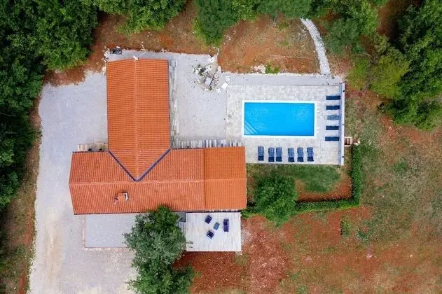 Ev (VladimirG - surrounded by nature - H()