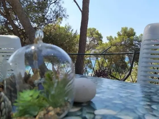 Ev (Vlasta - near sea - H(4+1))