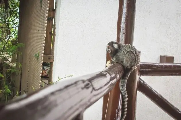 Standard İki Ayrı Yataklı Oda (Suite Sem Varanda)