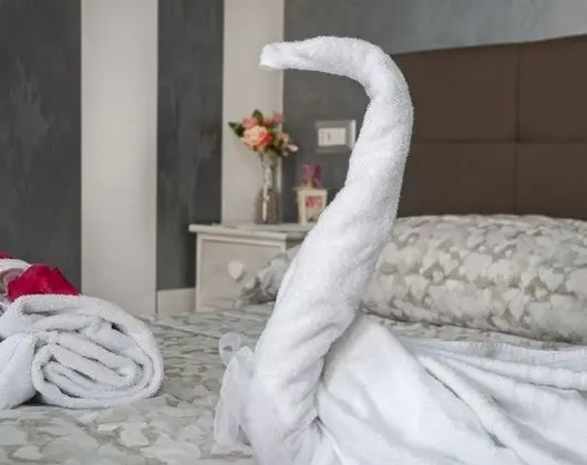 Premium Stüdyo, Şehir Manzaralı