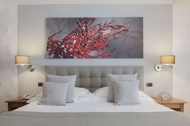 Superior Tek Büyük Yataklı Oda, Deniz Manzaralı