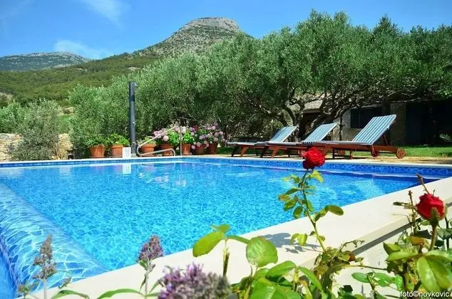 Ev (Vojo - private swimming pool - H(4))