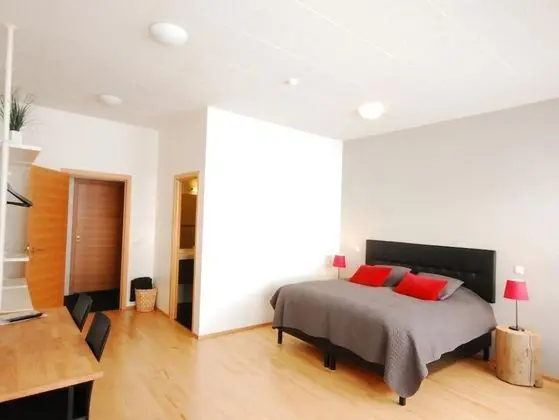 Deluxe Tek Büyük Yataklı Oda, 1 En Büyük (King) Boy Yatak ve Çekyat, Özel Banyo, Okyanus Manzaralı