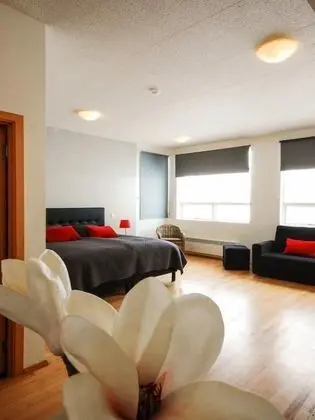 Deluxe Tek Büyük Yataklı Oda, 1 En Büyük (King) Boy Yatak ve Çekyat, Özel Banyo, Okyanus Manzaralı