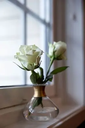 Kır Evi, 2 Yatak Odası, Deniz Manzaralı (Lunden)