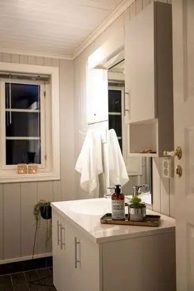 Superior Apart Daire, 1 Büyük (Queen) Boy Yatak ve Çekyat (150 m from the lake)