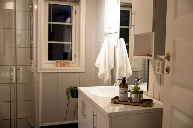 Superior Apart Daire, 1 Büyük (Queen) Boy Yatak ve Çekyat (150 m from the lake)