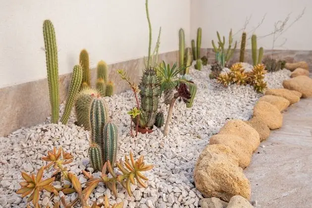 Exclusive Apart Daire