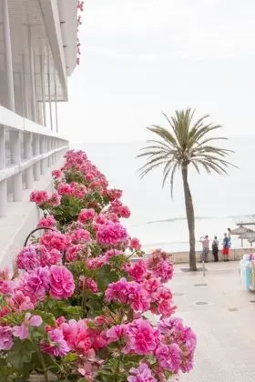 Tek Büyük Yataklı Oda, Balkon, Kısmi Deniz Manzaralı (1 Adult + 1 Child)