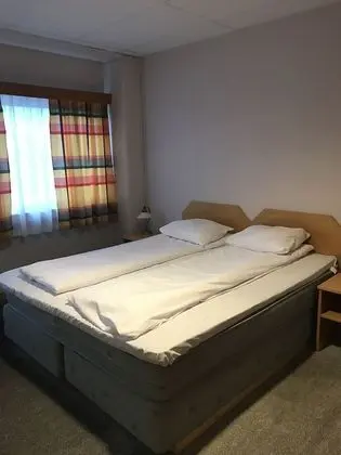 Süit