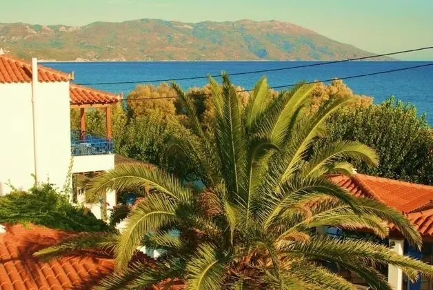 Superior Tek Büyük Yataklı Oda, Deniz Manzaralı
