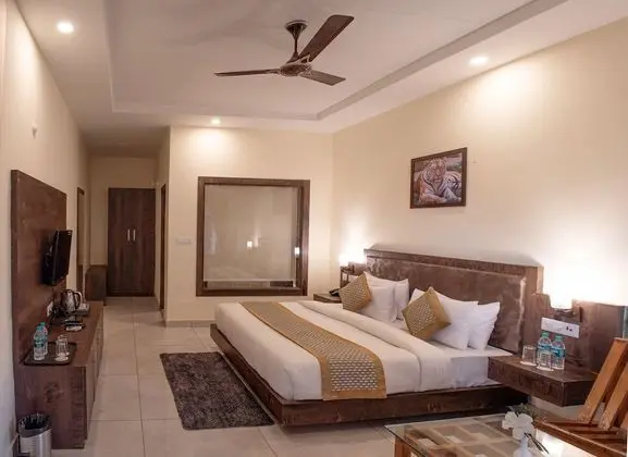 Elegant Room