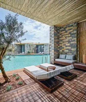Private Swim-up