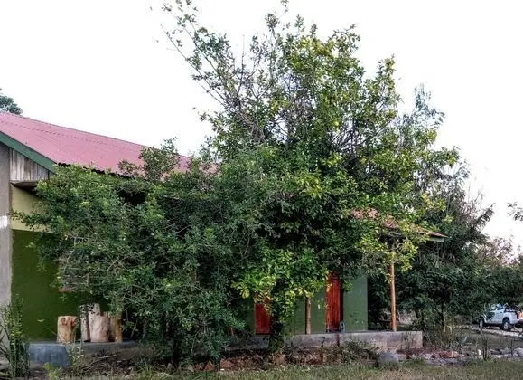 Bungalov