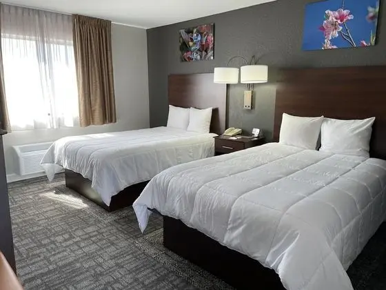 Premium Tek Büyük Yataklı Oda (1st Floor Only)