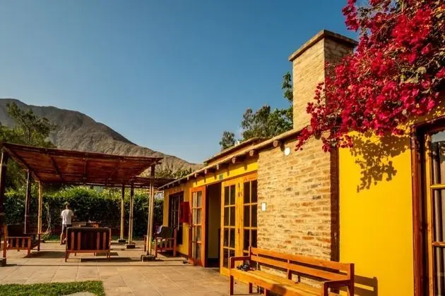 Exclusive Bungalov