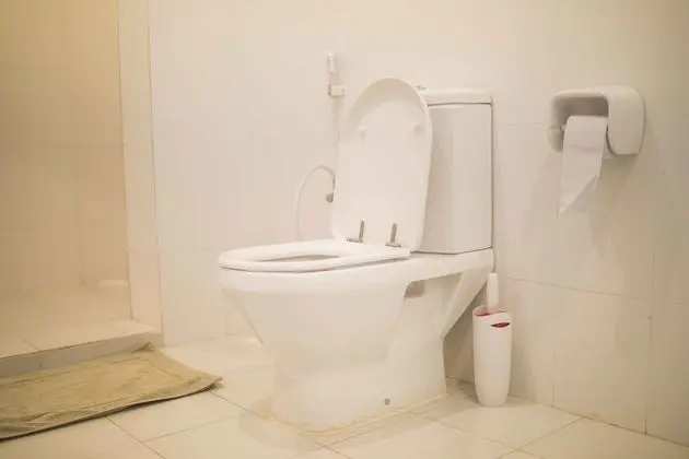 Standard Oda, Bahçe Manzaralı