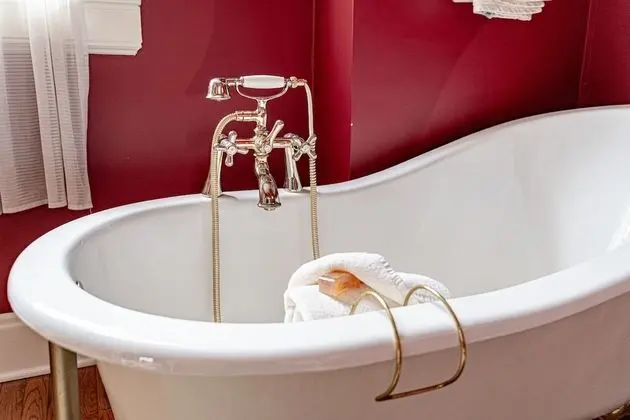 Deluxe Süit, 1 Yatak Odası, Özel Banyo