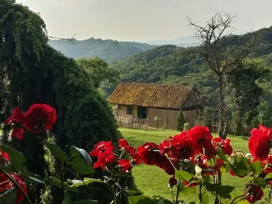 Deluxe Tek Büyük Yataklı Oda, Sauna, Üzüm Asması Manzaralı