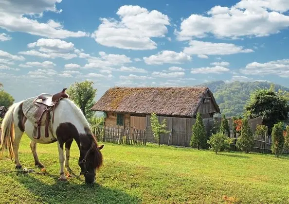 Deluxe Tek Büyük Yataklı Oda, Sauna, Üzüm Asması Manzaralı