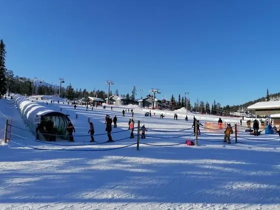 Classic Stüdyo, Sigara İçilmez, Avlu Manzaralı (A18)