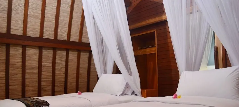 Deluxe İki Ayrı Yataklı Oda