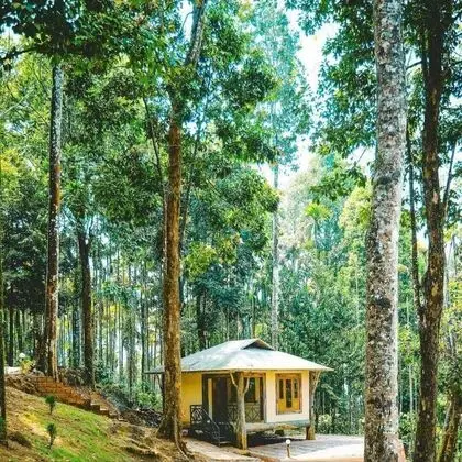 Deluxe Kır Evi
