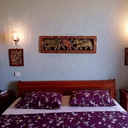 Standart Oda,Bahçe Manzaralı
