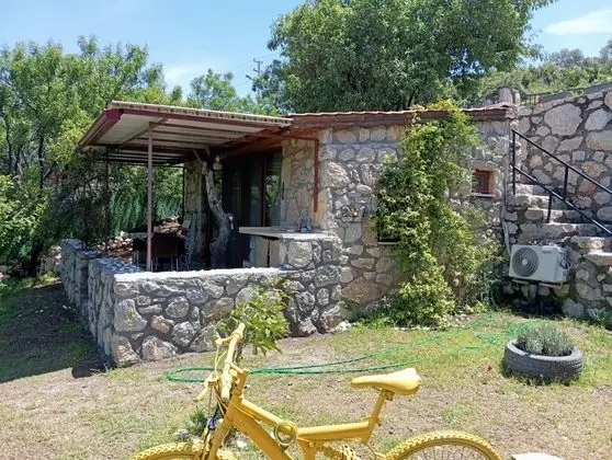 Standart Taş Oda,Bahçe Manzaralı