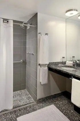 Süit, 1 En Büyük (King) Boy Yatak (Mobility Accessible, Roll-In Shower)