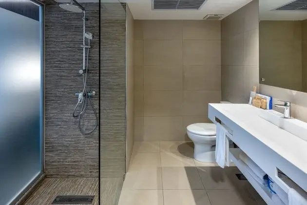 Deluxe Oda, 1 Yatak Odası, Şehir Manzaralı