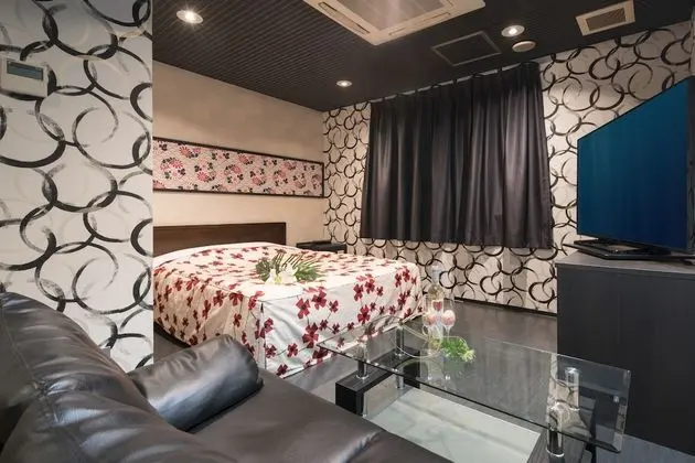 Standard Tek Büyük Yataklı Oda, Sigara İçilebilir (Love Hotel)